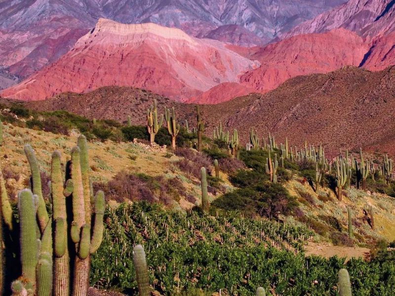 Jujuy 2