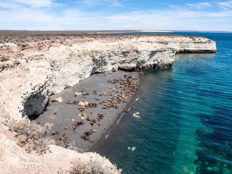 Puerto Madryn 3